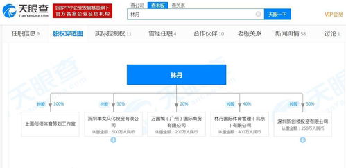 林丹退役后的商业版图 关联5家公司，数据服务领域成亮点