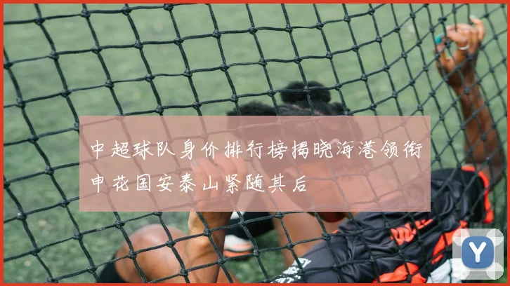 中超球队身价排行榜揭晓海港领衔申花国安泰山紧随其后