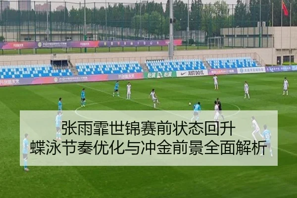 张雨霏世锦赛前状态回升 蝶泳节奏优化与冲金前景全面解析 - HTH